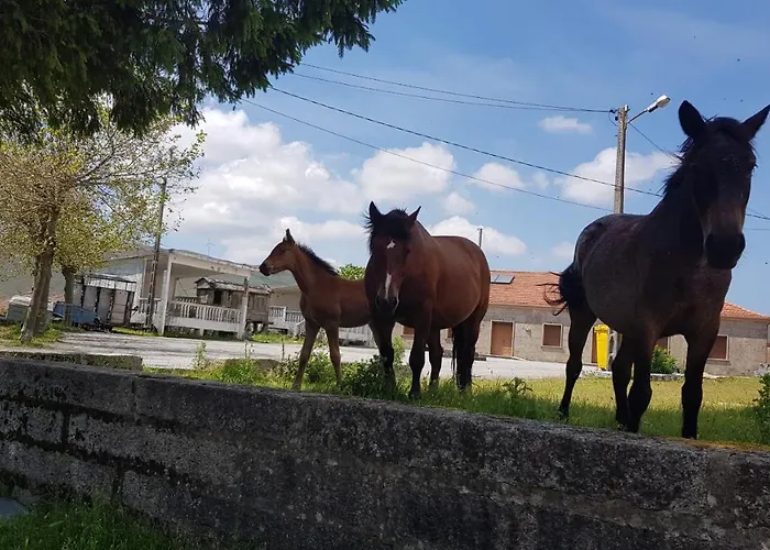 Casa Do Norte San Salvador